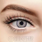 OptiComfort Lens Case – Mirror Finish