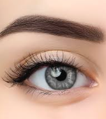 BeautyLens Starter Kit – Clear Vision Pack