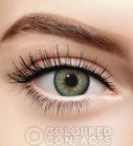 Celesta 3-Tone Monthly Lenses – Crystal Grey